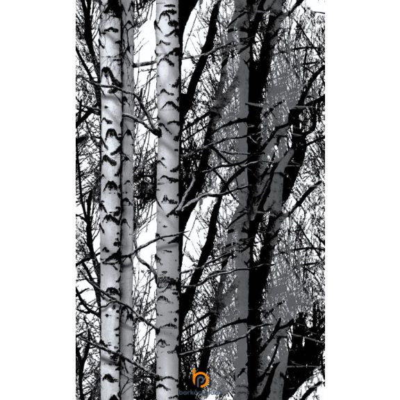 Öntapadós fólia Wood nyírfa fekete-fehér 45 cm