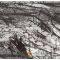 Öntapadós fólia Wood nyírfa fekete-fehér 45 cm x 15 m