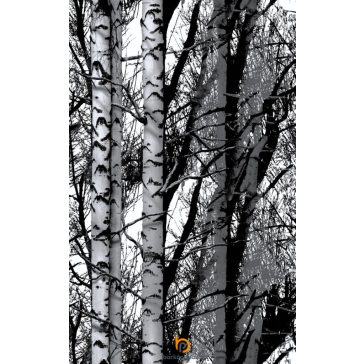 Öntapadós fólia Wood nyírfa fekete-fehér 45 cm x 15 m